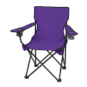 Folding Chair with Carrying Bag