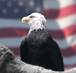 Leaderpromos-Eagle-USA