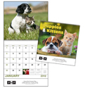 Puppies & Kittens 2012 Calendar