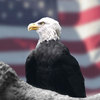 Leaderpromos-Eagle-USA