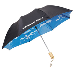 promotional umbrella.jpg