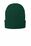 Port & Company Fleece-Lined Knit Cap | Athletic Green