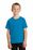 Port & Company - Youth 5.4-oz 100% Cotton T-Shirt | Sapphire