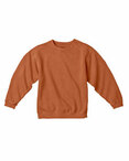 Youth 10 oz. Garment-Dyed Crew Sweatshirt